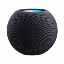 HomePod Mini Space Gray (MY5G2) БУ