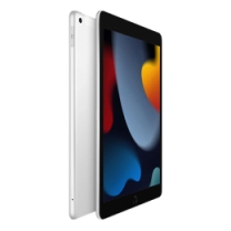 iPad 10.2 (2021) Wi-Fi + LTE 256GB Silver (MK4H3)