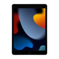 iPad 10.2 (2021) Wi-Fi 256GB Space Gray (MK2N3)