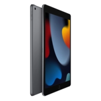 iPad 10.2 (2021) Wi-Fi 256GB Space Gray (MK2N3)