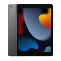 iPad 10.2 (2021) Wi-Fi 256GB Space Gray (MK2N3)