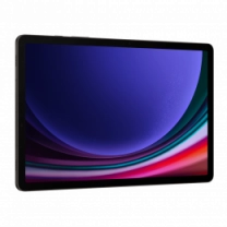 Планшет Samsung  Galaxy Tab S9 5G 256GB Graphite (SM-X716BZAESEK)