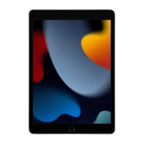 iPad 10.2 (2021) Wi-Fi + LTE 64GB Silver (MK493/MK673)